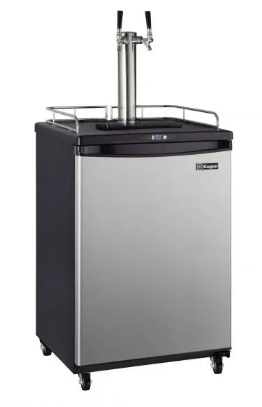 Z163 Stainless Steel Double Tap