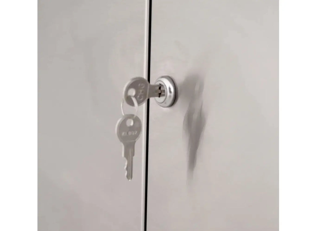 Close-up of stainless steel outdoor grill cabinet door with lock and key set.