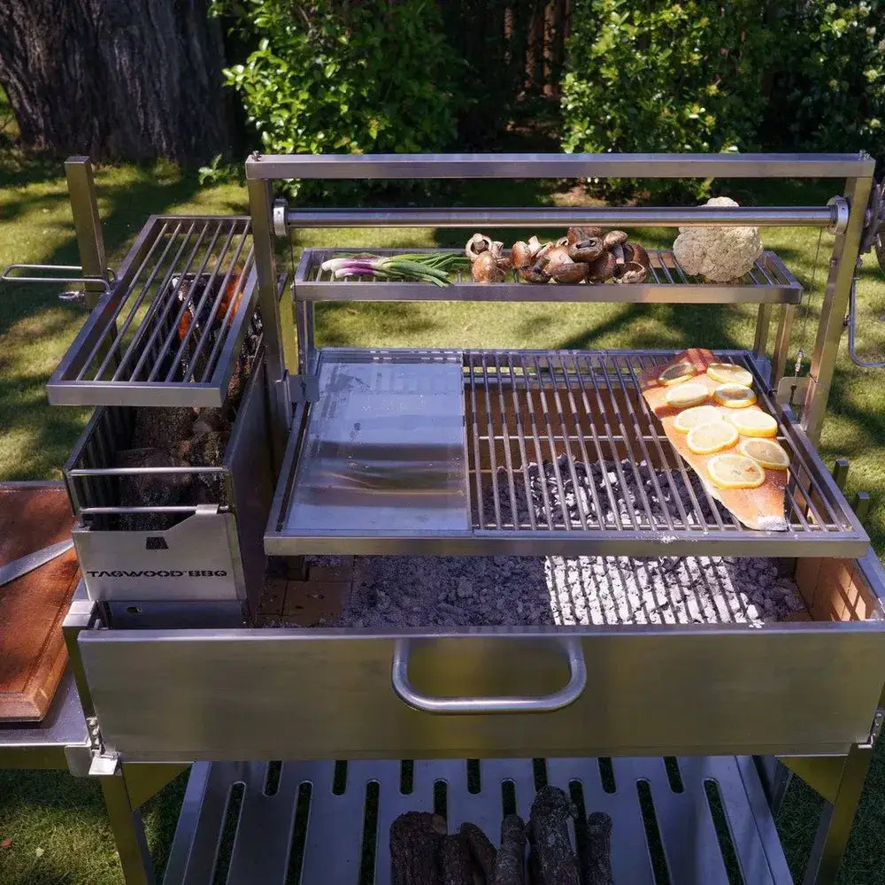 Tagwood BBQ23SS XL Santa Maria grill cooking fish and vegetables over charcoal