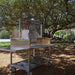 Tagwood BBQ23SS XL Santa Maria grill cooking outdoors under large tree with wood fire