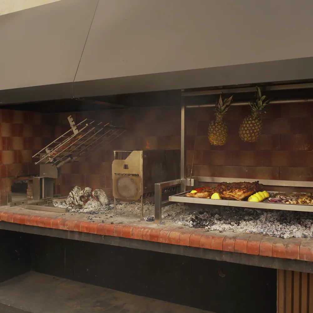 Tagwood BBQ09SS Santa Maria insert grill close view cooking steak vegetables and pineapple over live fire