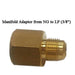 Sunstone P-MAdaptor-LP manifold adapter (NG to LP) 3/8-inch, brass gas fitting with female and male threads on white background.