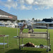 Tagwood BBQ06SS Santa Maria grill outdoor event setup with Tagwood canopy near marina