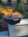 Black Travertine TessaRai fire and water bowl with fire glass on pool wall in landscaped backyard setting.