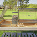 Tagwood BBQ26SS XL Santa Maria grill interior cooking area with charcoal basket and stainless grates