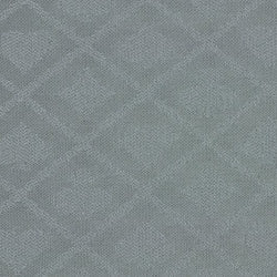 Silver Suited Speed Cloth