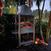 Tagwood BBQ BBQ02SS SS304 grill at dusk with wood fire and pumpkins by palm trees