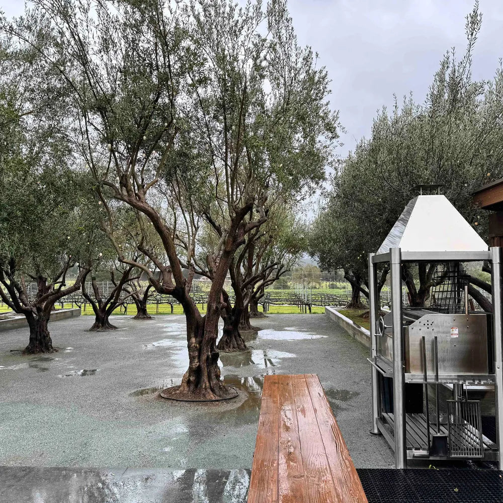 Tagwood BBQ BBQ02SS stainless steel Santa Maria grill in olive grove setting