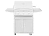 Summerset Sizzler 25-inch Grill Cart, front view of 443 stainless steel cabinet with double storage doors and folding side shelves.