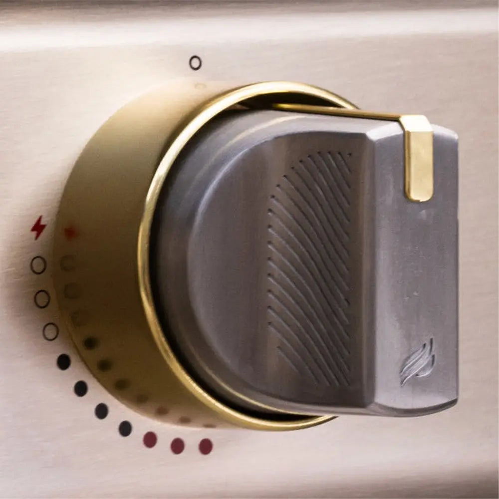Temperature Control for Blackstone select Pizza Oven