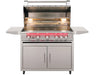 True Flame freestanding gas grill with lid open, interior lights on, five red LED-lit control knobs, dual side shelves, and stainless steel cabinet base on wheels.